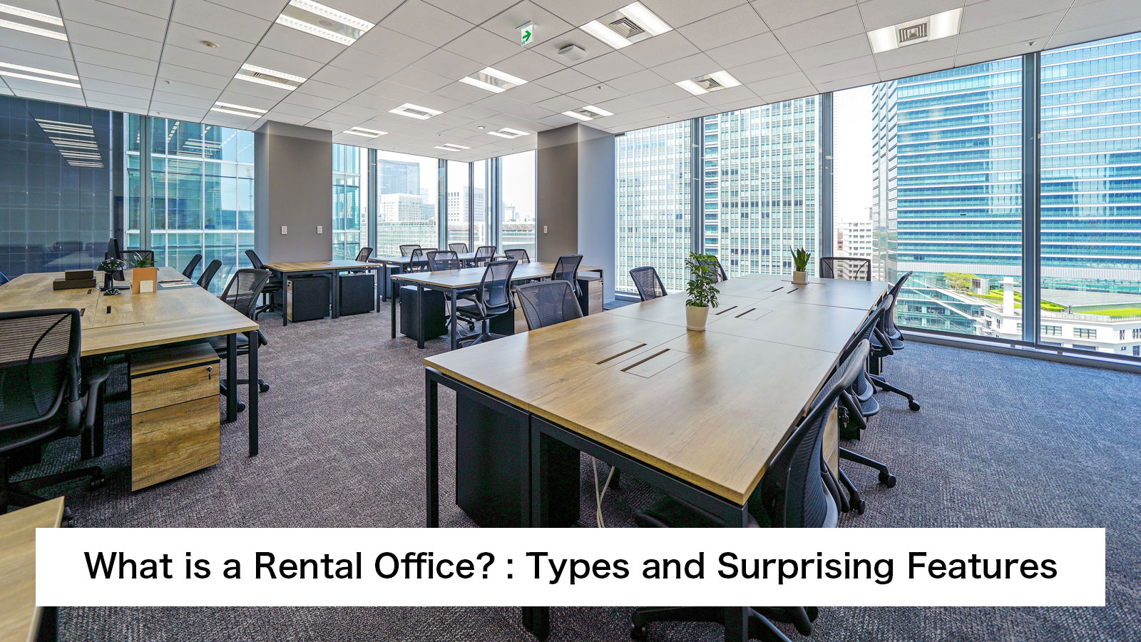 What is a Rental Office? : Types and Surprising Features